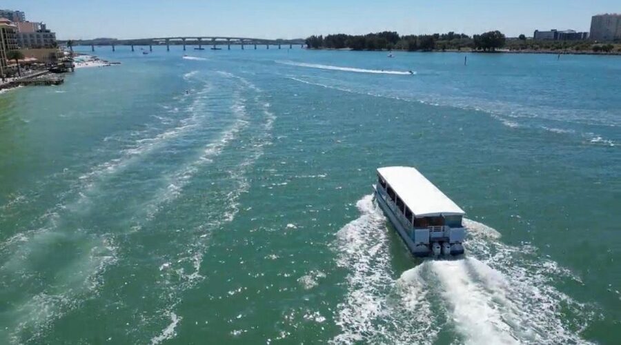 Clearwater Beach: Dolphin & Island Sandbar Cruise - What to pack for the two hours