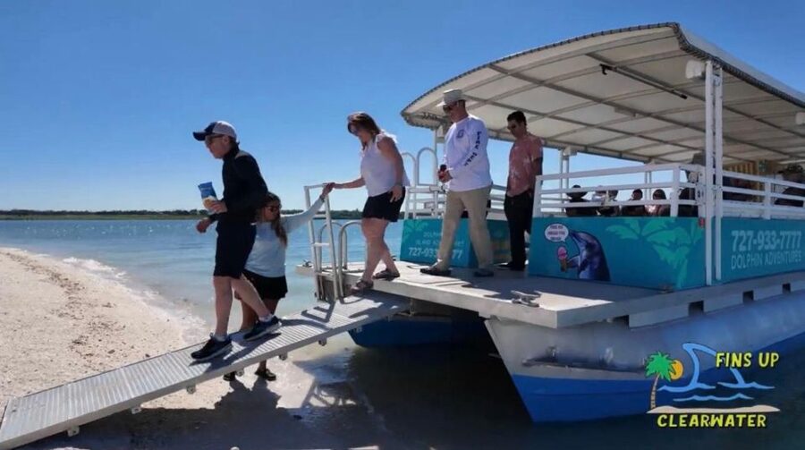 Clearwater Beach: Dolphin & Island Sandbar Cruise - Who should book this Clearwater cruise