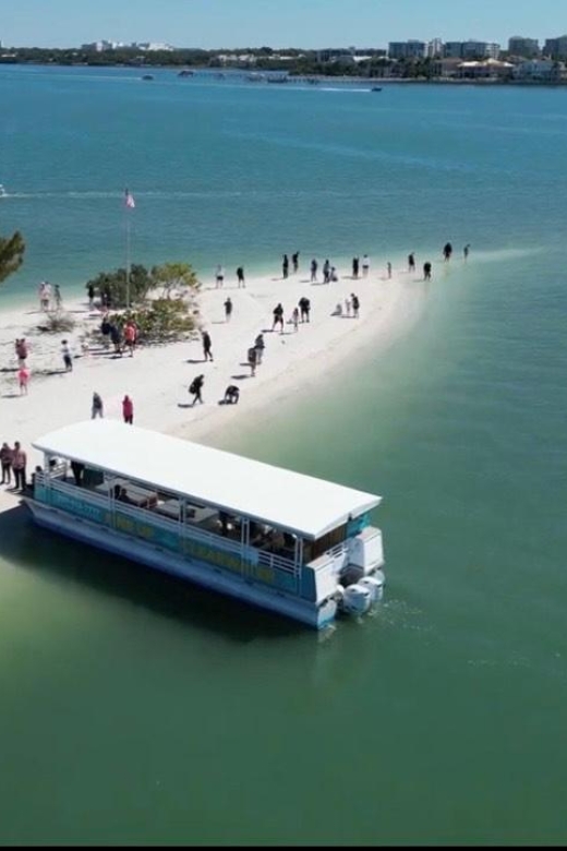 Clearwater Beach: Dolphin & Island Sandbar Cruise - Meeting the boat at 25 Causeway Blvd