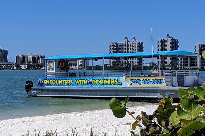 Clearwater Encounters with Dolphins Tour - A dolphin search, not a trained-animal show