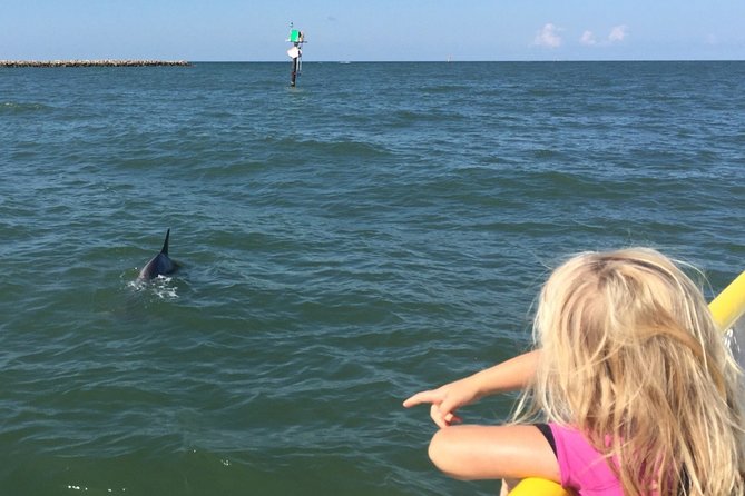 Clearwater Encounters with Dolphins Tour - Who will enjoy this Clearwater outing?