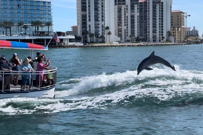 Clearwater Encounters with Dolphins Tour - Booking and cancellation details