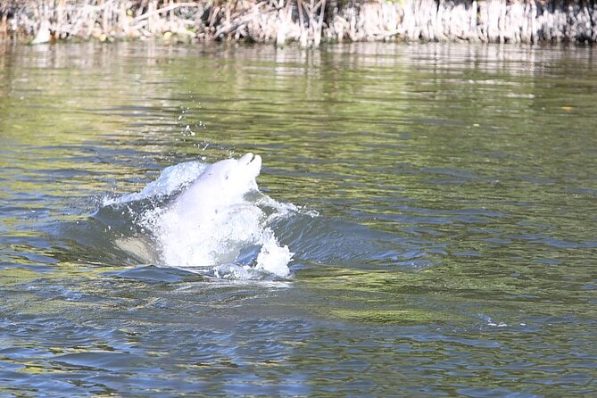 Cocoa Beach Dolphin and Wildlife Tour - Leaving Cocoa Beach for the Thousand Islands
