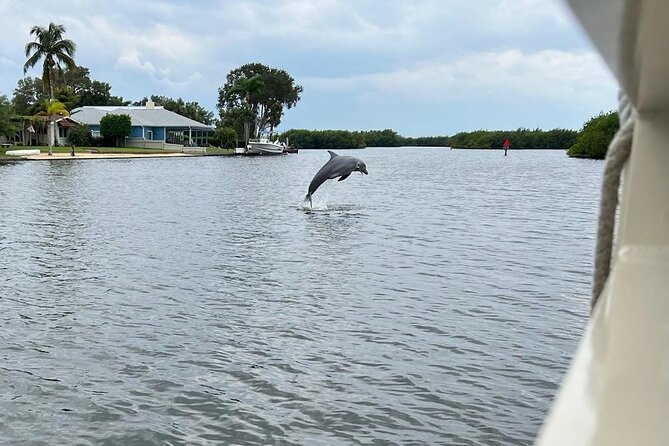 Cocoa Beach Dolphin and Wildlife Tour - Weather matters more than the calendar