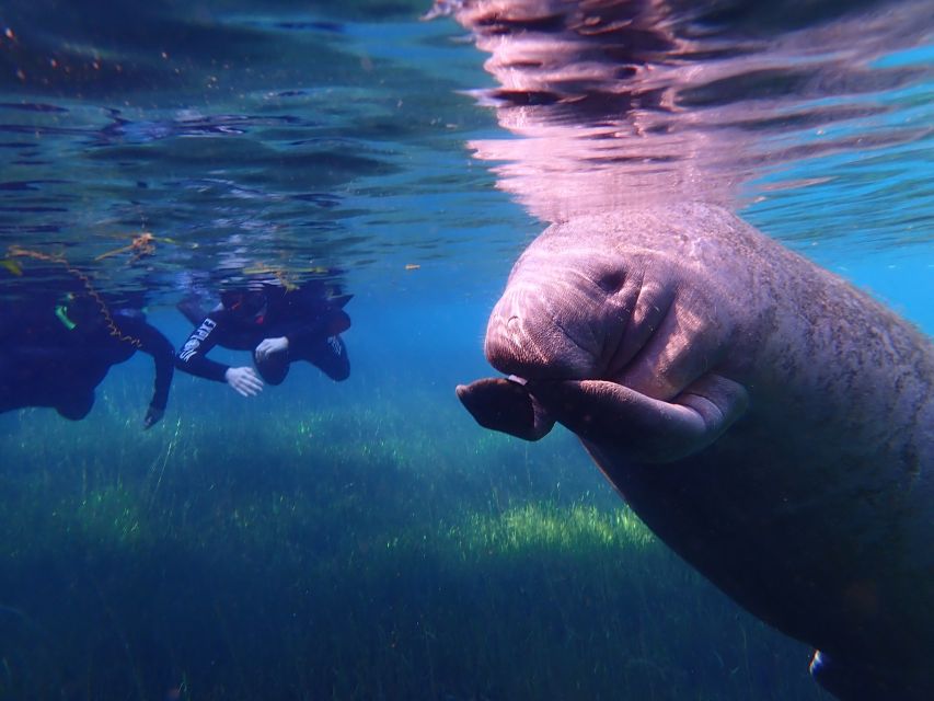Crystal River: Manatee Swim Group Tour - The five-minute ride to the boat