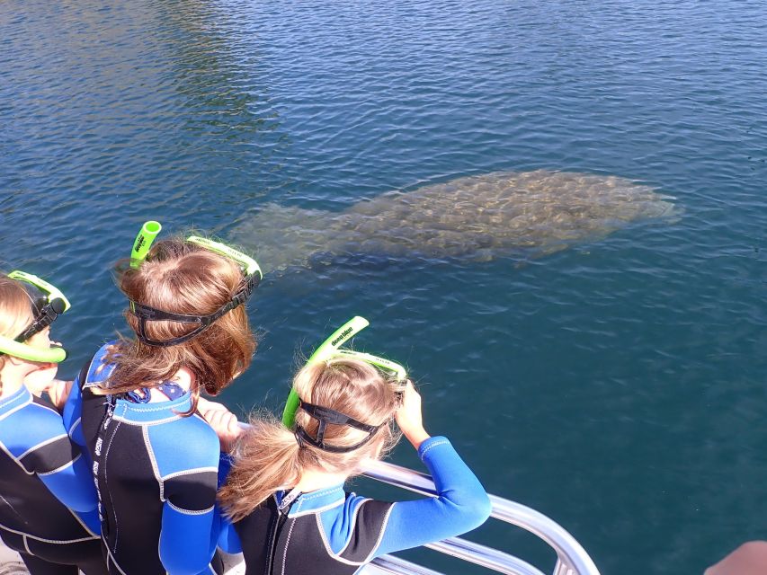 Crystal River: Manatee Swim Group Tour - Manatee manners make the experience better