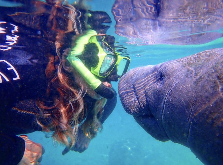 Crystal River: Manatee Swim Group Tour - Starting at the downtown Explorida Adventure Center