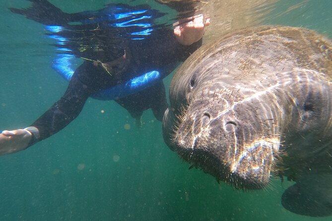 Crystal River: Semi-Private Manatee Swim Tour With Heated Boat - Getting fitted with wetsuits and snorkel gear