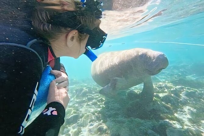 Crystal River: Semi-Private Manatee Swim Tour With Heated Boat - Time on the boat for people who do not swim