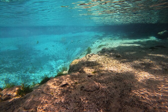 Crystal River: Semi-Private Manatee Swim Tour With Heated Boat - A six-person boat changes the feel of the outing