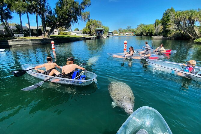 Crystal River Three Sisters Springs and Manatee Clear Kayak Tours - What the guides add on the water
