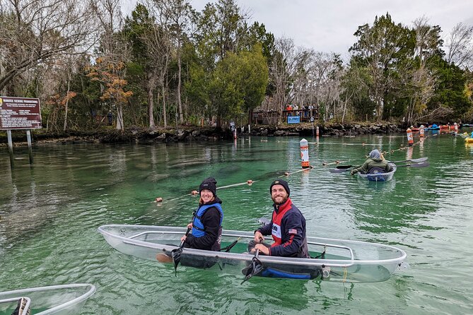Crystal River Three Sisters Springs and Manatee Clear Kayak Tours - Wildlife, water clarity, and realistic expectations