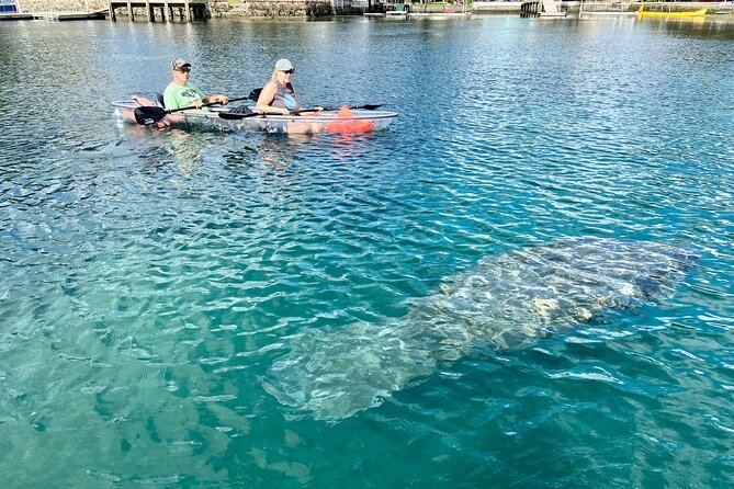 Crystal River Three Sisters Springs and Manatee Clear Kayak Tours - Value, timing, and who will enjoy it most