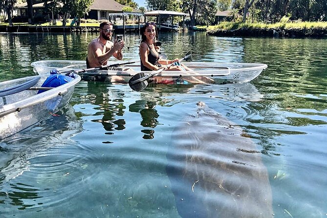 Crystal River Three Sisters Springs and Manatee Clear Kayak Tours - Small details that can make the day better