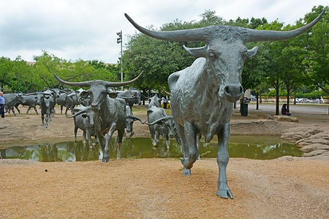 Dallas and JFK Cruizer Tour - Pioneer Plaza and its bronze cattle drive