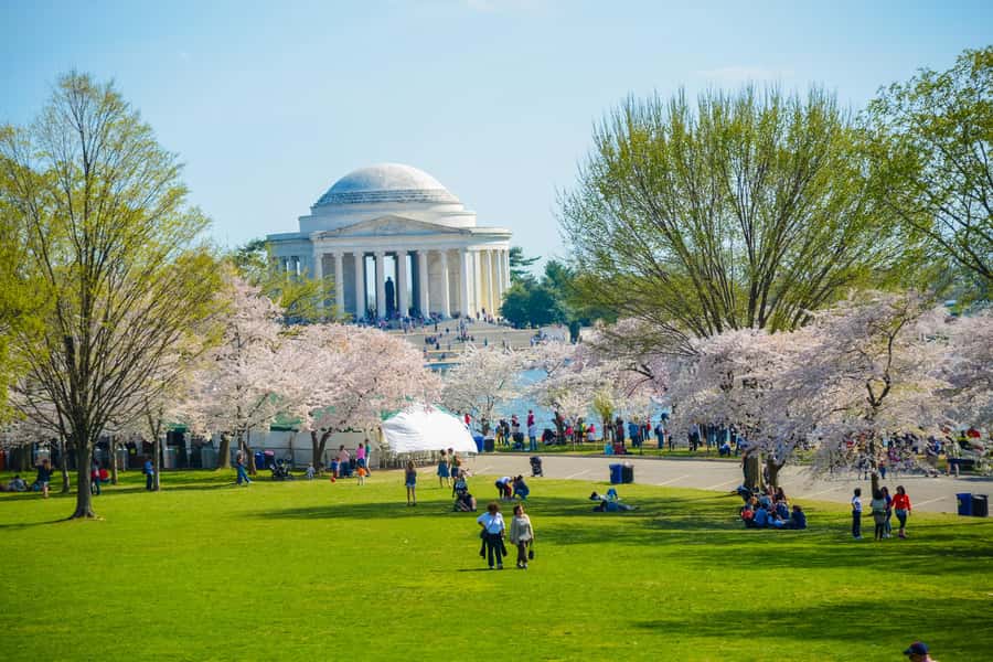 DC: Hop-on Hop-off Tour by Open-top Bus with 17 Stops - Key points to know before you board