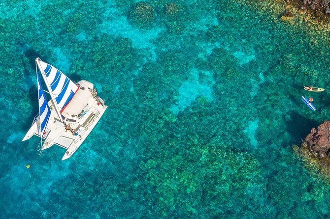 Deluxe Sail & Snorkel to the Captain Cook Monument - What the food is really like