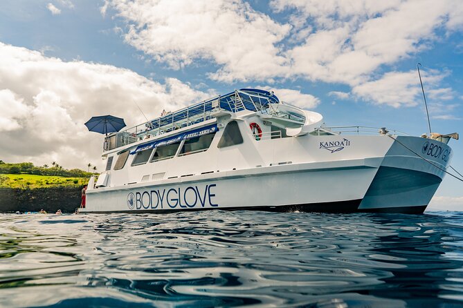 Deluxe Snorkel & Dolphin Watch Aboard a Luxury Catamaran from Kailua-Kona - Breakfast, Kona views, and the search for dolphins