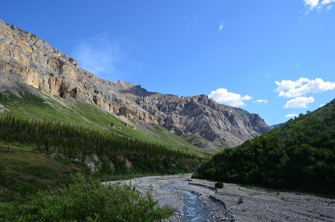 Denali Flyer Flightseeing Tour from Talkeetna - Key points to know before booking