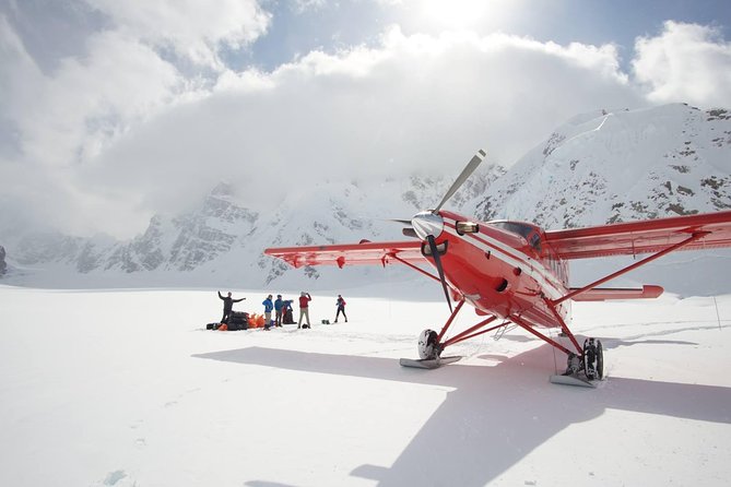 Denali Flyer Flightseeing Tour from Talkeetna - Why seeing Denali from the air matters