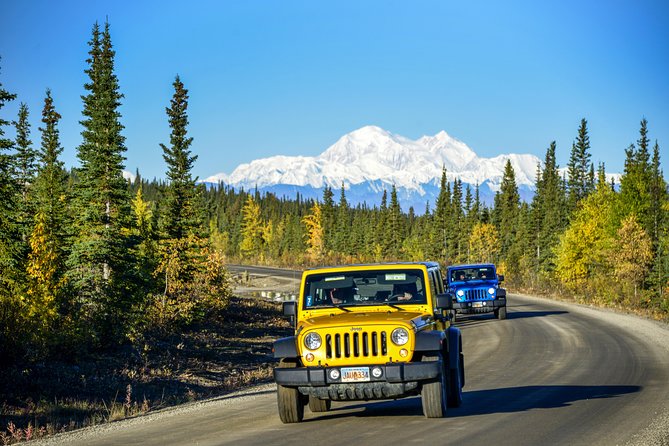 Denali Highway Jeep Excursion - Wildlife: a possibility, not the main product