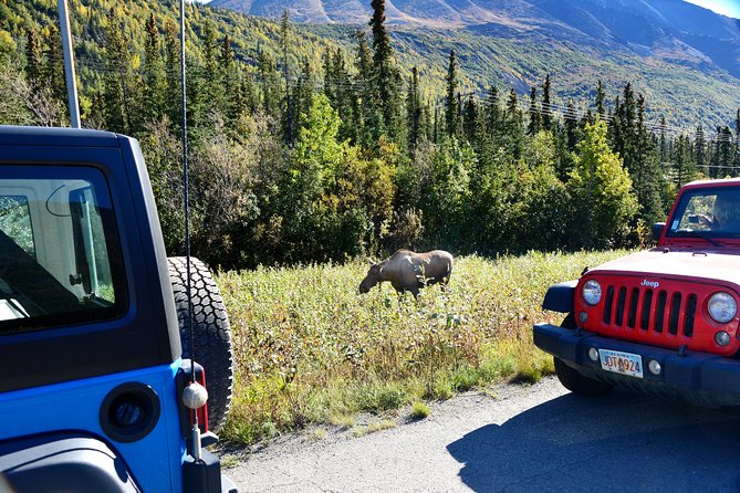 Denali Highway Jeep Excursion - Is $220.99 a fair price?