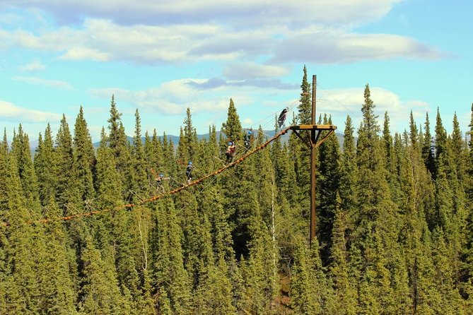 Denali Park Zipline Adventure - Seven ziplines, six bridges, and a real forest setting