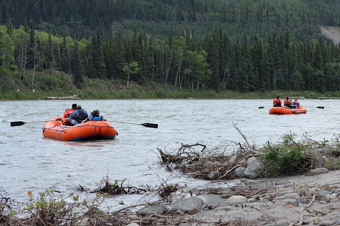 Denali Rafting Wilderness Wave - Practical planning for your Denali day