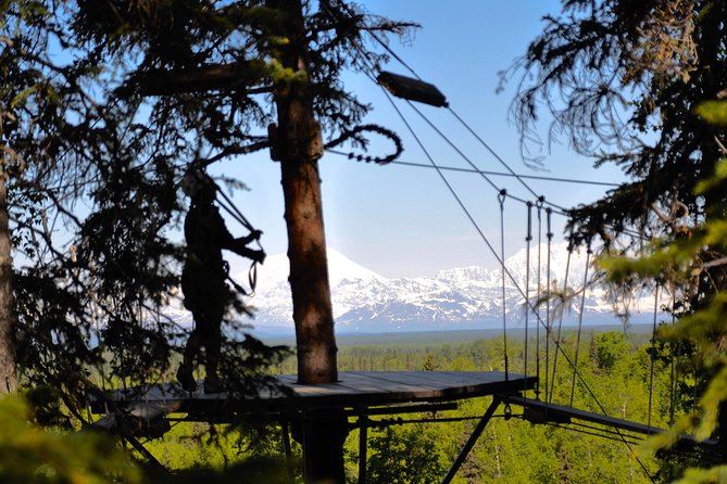 Denali Zipline Tour in Talkeetna, AK - Starting in Talkeetna, with the forest just ahead