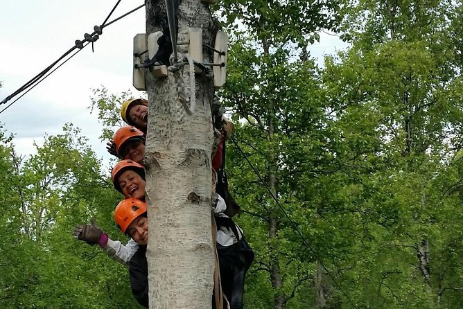 Denali Zipline Tour in Talkeetna, AK - Suspension bridges and the spiral staircase