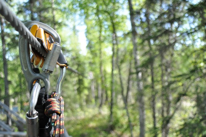 Denali Zipline Tour in Talkeetna, AK - Denali views are a bonus, not a guarantee