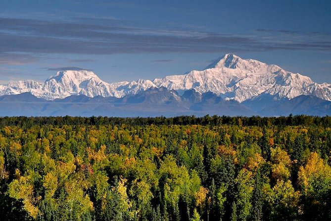 Denali Zipline Tour in Talkeetna, AK - The right clothing and physical preparation