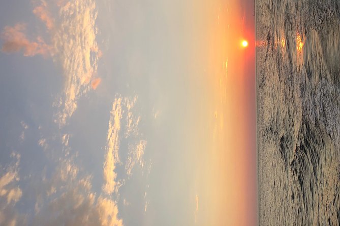 Destin Dolphin Cruise - What the 90-Minute Route Includes