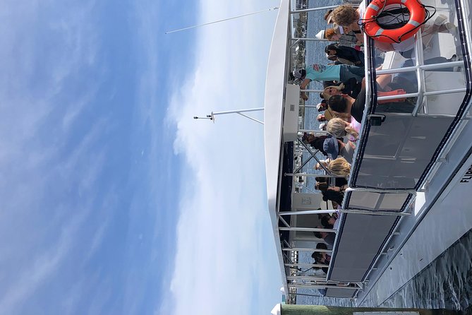 Destin Dolphin Cruise - Should You Book the Destin Dolphin Cruise?