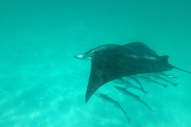 Destin Dolphin Cruise - Riding the Corinthian Catamaran