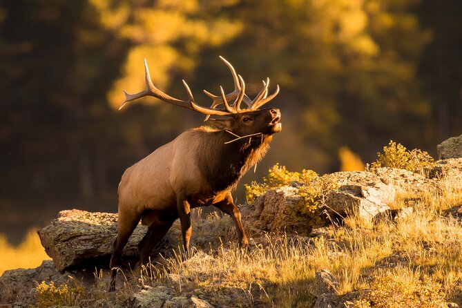 Discover Rocky Mountain National Park - Stanley Hotel views and the Estes Park pass