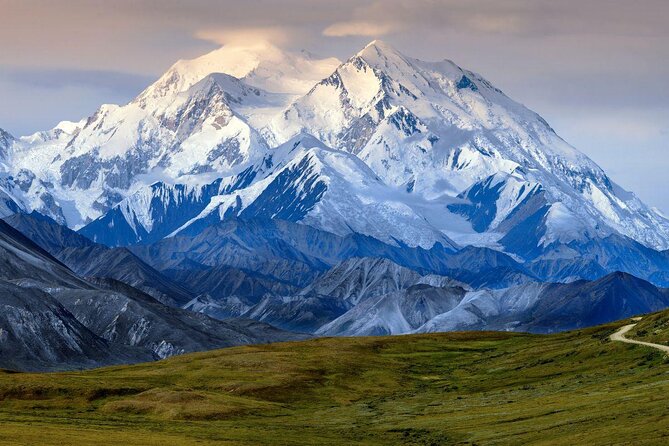 Dog Sledding Adventure in Willow, Alaska - Key points to know before booking