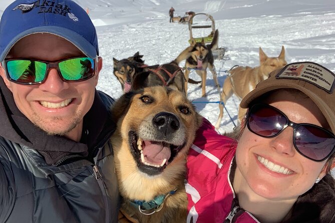 Dog Sledding Adventure in Willow, Alaska - Why this Willow ride feels more personal