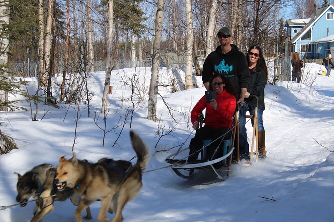 Dog Sledding Adventure in Willow, Alaska - Warm clothing is not optional