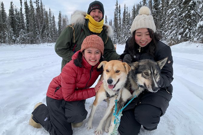 Dog Sledding and Mushing Experience in North Pole - Key points at a glance