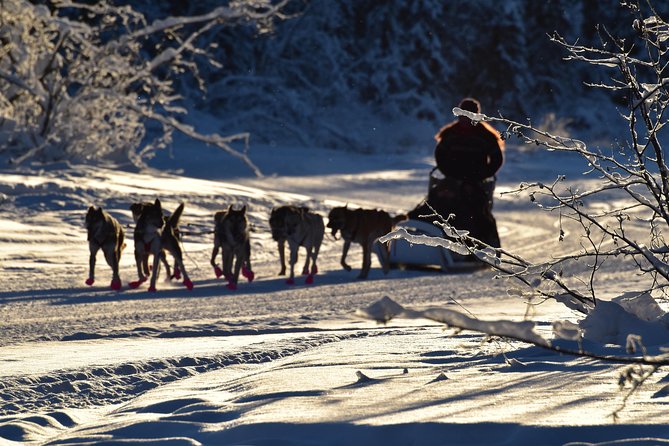 Dog Sledding and Mushing Experience in North Pole - Arriving at Rod’s Alaskan Guide Service