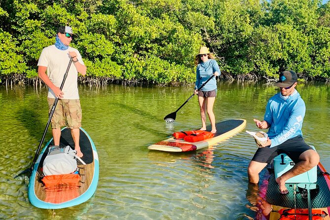 Dolphin and Manatee Adventure Tour of Fort Myers - Eric and the value of a good guide
