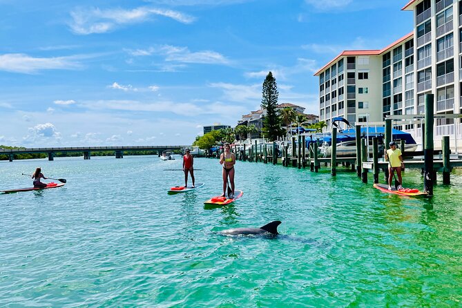 Dolphin and Manatee Adventure Tour of Fort Myers - The beach stop and shell search