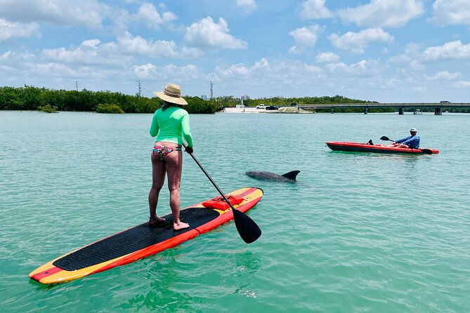 Dolphin and Manatee Adventure Tour of Fort Myers - Who should book this Fort Myers tour