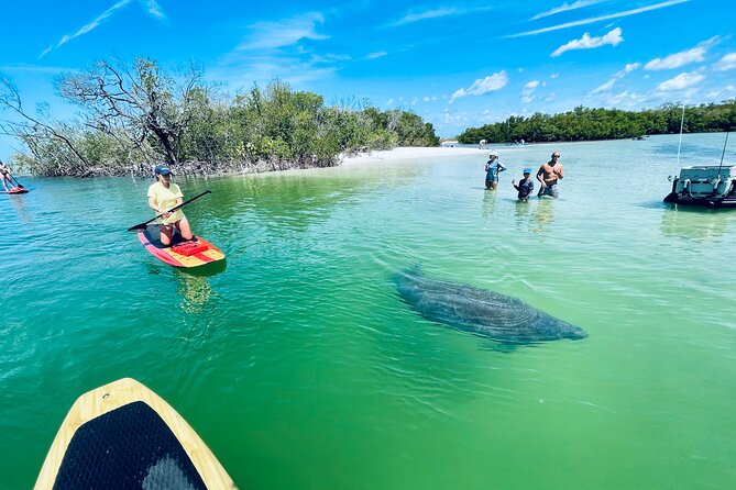 Dolphin and Manatee Adventure Tour of Fort Myers - Weather, cancellation, and practical planning