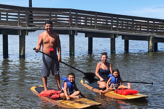 Dolphin and Manatee Stand Up Paddleboard Tour in Daytona Beach - A calm way to see Daytona Beach from the water