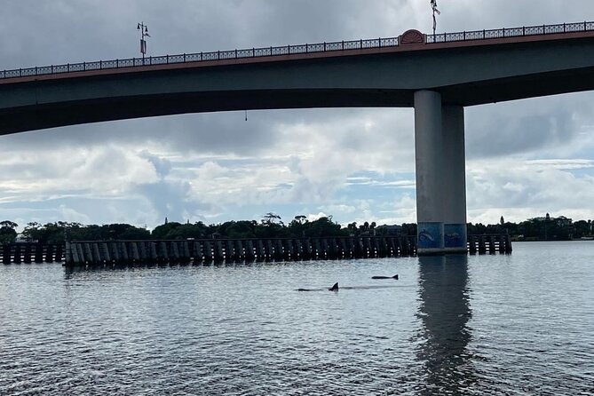 Dolphin and Manatee Stand Up Paddleboard Tour in Daytona Beach - Canals, shallow water, and the search for wildlife