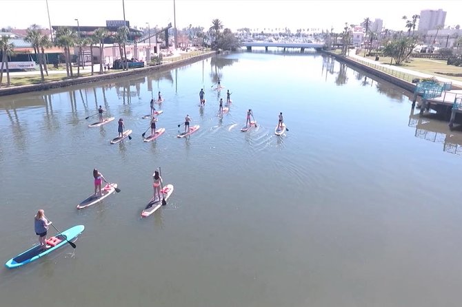 Dolphin and Manatee Stand Up Paddleboard Tour in Daytona Beach - Is $65 a fair price?