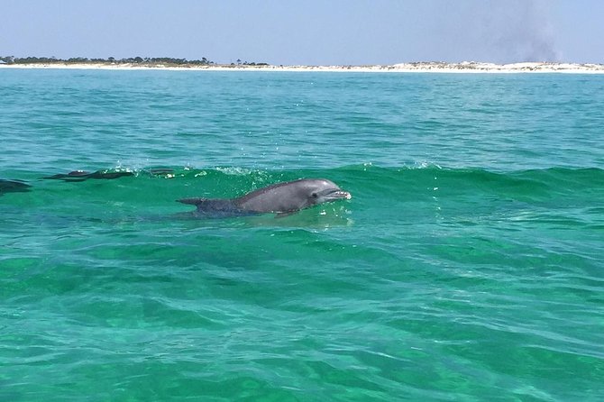 Dolphin Cruise in Destin FL - HarborWalk Village is the starting point