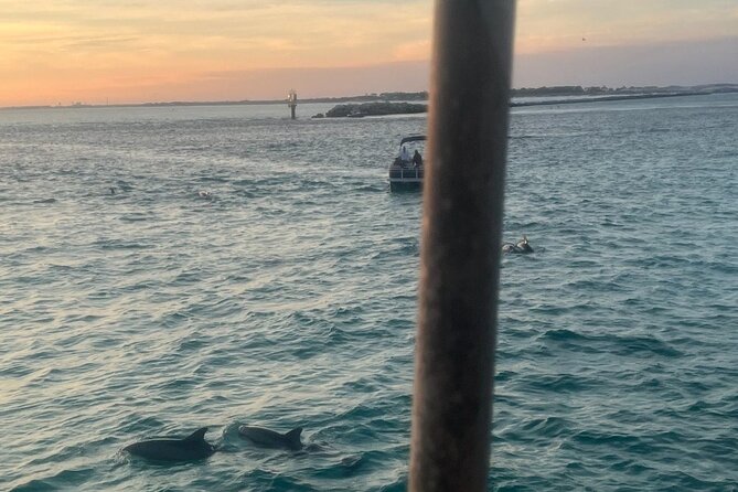 Dolphin & Sunset Cruises - Key points at a glance